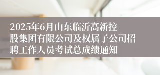2025年6月山东临沂高新控股集团有限公司及权属子公司招聘工作人员考试总成绩通知