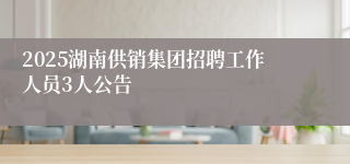 2025湖南供销集团招聘工作人员3人公告