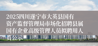 2025四川遂宁市大英县国有资产监督管理局市场化招聘县属国有企业高级管理人员拟聘用人员公示