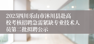 2025四川乐山市沐川县赴高校考核招聘急需紧缺专业技术人员第二批拟聘公示 