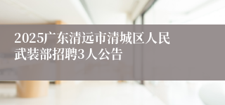 2025广东清远市清城区人民武装部招聘3人公告