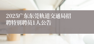 2025广东东莞轨道交通局招聘特别聘员1人公告
