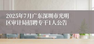 2025年7月广东深圳市光明区审计局招聘专干1人公告