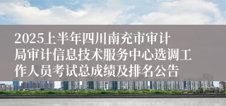2025上半年四川南充市审计局审计信息技术服务中心选调工作人员考试总成绩及排名公告
