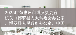 2025广东惠州市博罗县县直机关（博罗县人大常委会办公室、博罗县人民政府办公室、中国共产主义青年团博罗县委员会）招聘编外人员拟聘用人员公告
