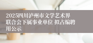 2025四川泸州市文学艺术界联合会下属事业单位 拟占编聘用公示
