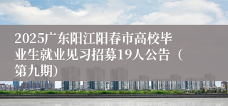 2025广东阳江阳春市高校毕业生就业见习招募19人公告（第九期）