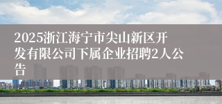 2025浙江海宁市尖山新区开发有限公司下属企业招聘2人公告