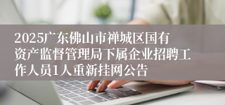 2025广东佛山市禅城区国有资产监督管理局下属企业招聘工作人员1人重新挂网公告