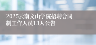 2025云南文山学院招聘合同制工作人员13人公告