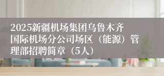 2025新疆机场集团乌鲁木齐国际机场分公司场区（能源）管理部招聘简章（5人）