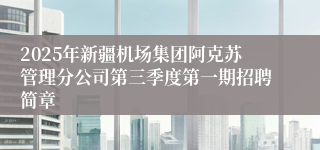2025年新疆机场集团阿克苏管理分公司第三季度第一期招聘简章