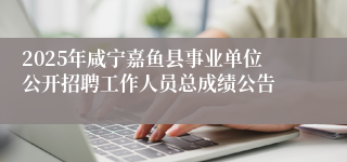 2025年咸宁嘉鱼县事业单位公开招聘工作人员总成绩公告