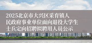 2025北京市大兴区采育镇人民政府事业单位面向退役大学生士兵定向招聘拟聘用人员公示