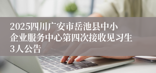 2025四川广安市岳池县中小企业服务中心第四次接收见习生3人公告