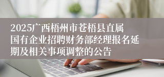 2025广西梧州市苍梧县直属国有企业招聘财务部经理报名延期及相关事项调整的公告