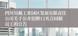 四川川藏工业园区发展有限责任公司关于公开招聘12名合同制员工的公告