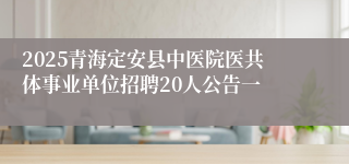 2025青海定安县中医院医共体事业单位招聘20人公告一