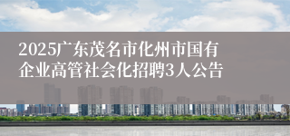 2025广东茂名市化州市国有企业高管社会化招聘3人公告