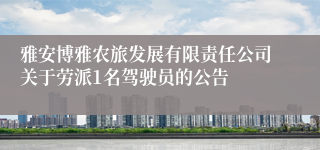 雅安博雅农旅发展有限责任公司关于劳派1名驾驶员的公告