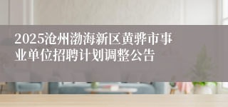 2025沧州渤海新区黄骅市事业单位招聘计划调整公告   