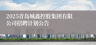 2025青岛城鑫控股集团有限公司招聘计划公告
