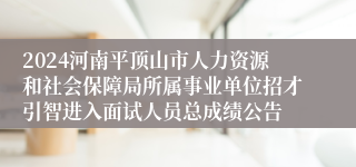 2024河南平顶山市人力资源和社会保障局所属事业单位招才引智进入面试人员总成绩公告
