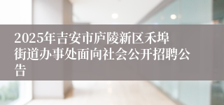 2025年吉安市庐陵新区禾埠街道办事处面向社会公开招聘公告