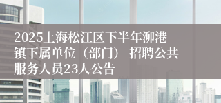2025上海松江区下半年泖港镇下属单位（部门） 招聘公共服务人员23人公告