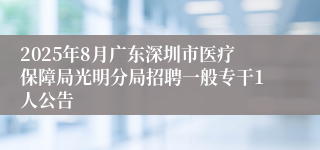 2025年8月广东深圳市医疗保障局光明分局招聘一般专干1人公告