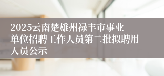 2025云南楚雄州禄丰市事业单位招聘工作人员第二批拟聘用人员公示