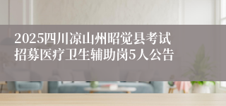 2025四川凉山州昭觉县考试招募医疗卫生辅助岗5人公告