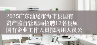 2025广东汕尾市海丰县国有资产监督管理局招聘12名县属国有企业工作人员拟聘用人员公示（第一批）