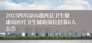 2025四川凉山越西县卫生健康局医疗卫生辅助岗位招募6人公告
