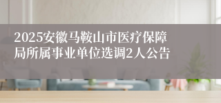 2025安徽马鞍山市医疗保障局所属事业单位选调2人公告