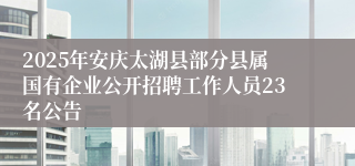 2025年安庆太湖县部分县属国有企业公开招聘工作人员23名公告