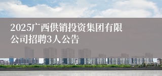 2025广西供销投资集团有限公司招聘3人公告