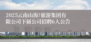 2025云南山海?旅游集团有限公司下属公司招聘6人公告