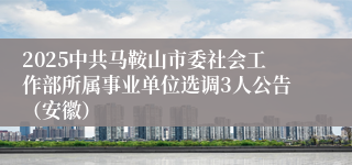 2025中共马鞍山市委社会工作部所属事业单位选调3人公告（安徽）