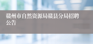 赣州市自然资源局赣县分局招聘公告