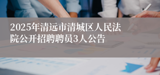 2025年清远市清城区人民法院公开招聘聘员3人公告