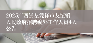 2025广西崇左凭祥市友谊镇人民政府招聘编外工作人员4人公告