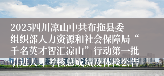 2025四川凉山中共布拖县委组织部人力资源和社会保障局“千名英才智汇凉山”行动第一批引进人才考核总成绩及体检公告