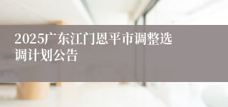 2025广东江门恩平市调整选调计划公告