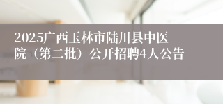 2025广西玉林市陆川县中医院（第二批）公开招聘4人公告