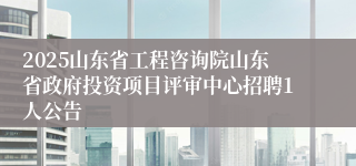 2025山东省工程咨询院山东省政府投资项目评审中心招聘1人公告