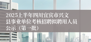 2025上半年四川宜宾市兴文县事业单位考核招聘拟聘用人员公示（第一批）