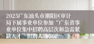 2025广东汕头市潮阳区审计局下属事业单位参加“广东省事业单位集中招聘高层次和急需紧缺人才”拟聘人选公示