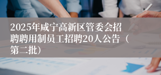 2025年咸宁高新区管委会招聘聘用制员工招聘20人公告（第二批）