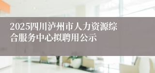 2025四川泸州市人力资源综合服务中心拟聘用公示